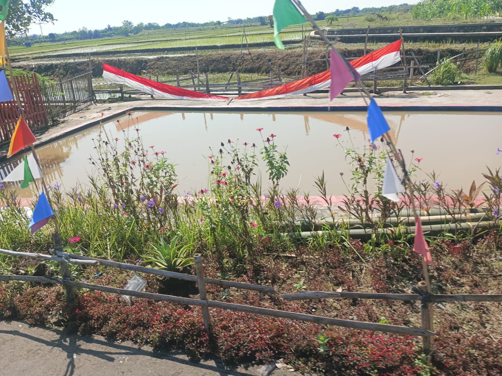 UMKM Desa